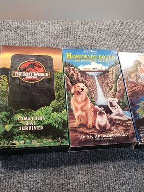 Disney & Family VHS Lot (3 Tapes)